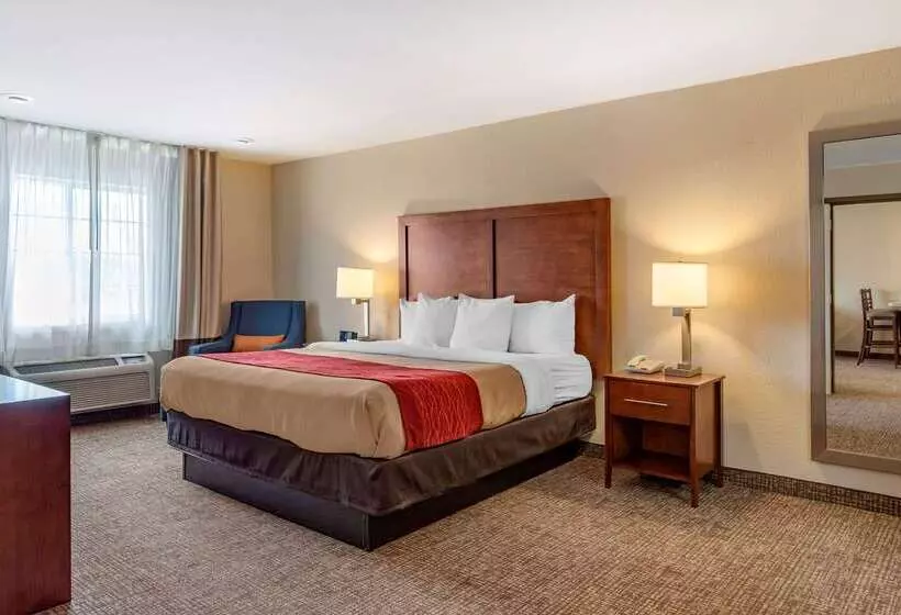 هتل Comfort Inn & Suites
