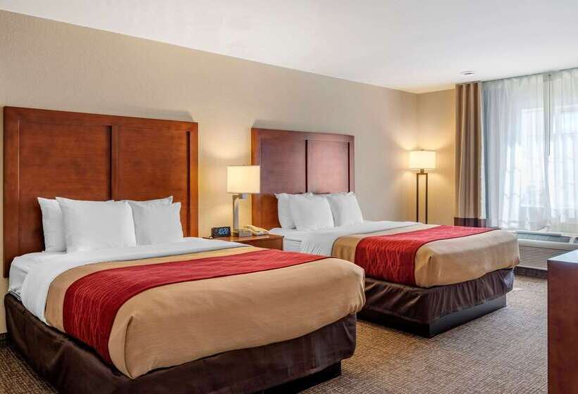 فندق Comfort Inn & Suites