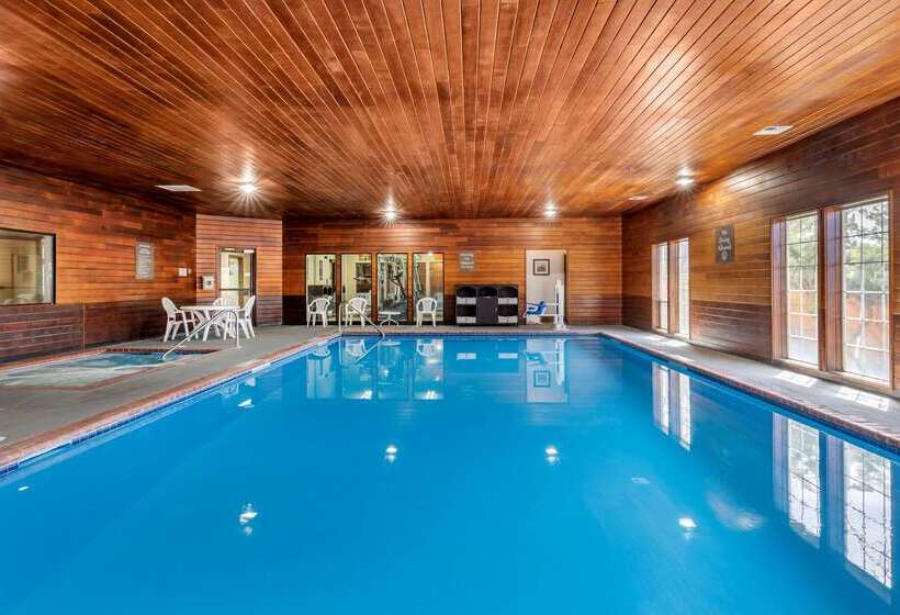 فندق Comfort Inn & Suites