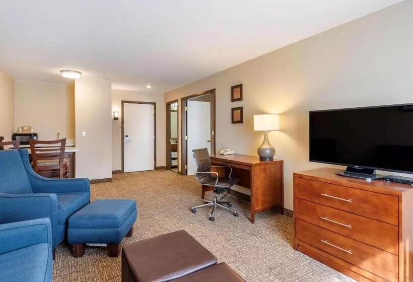 هتل Comfort Inn & Suites