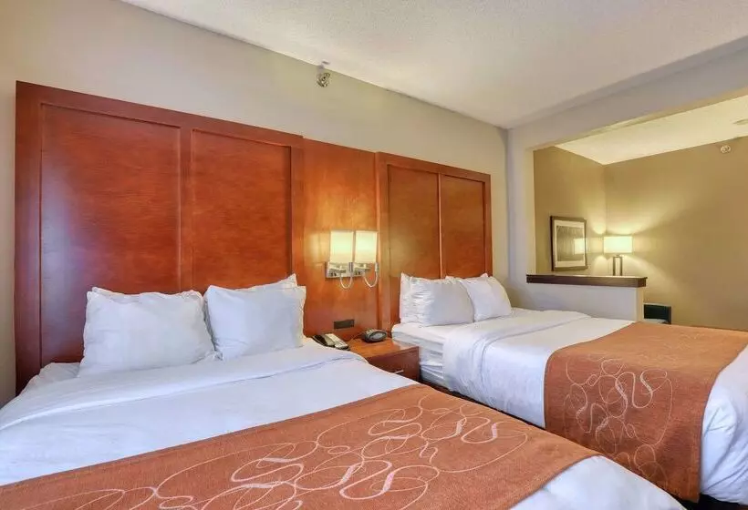 ホテル Comfort Suites Appleton Airport