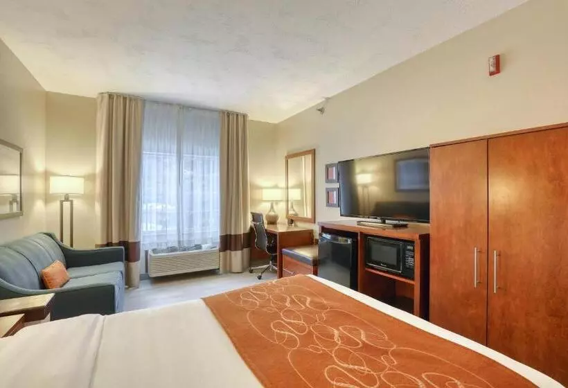 ホテル Comfort Suites Appleton Airport