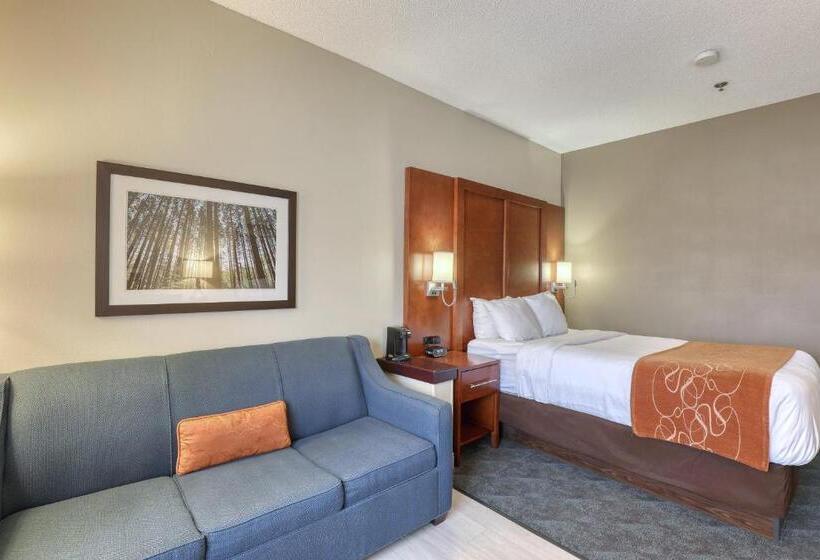 فندق Comfort Suites Appleton Airport