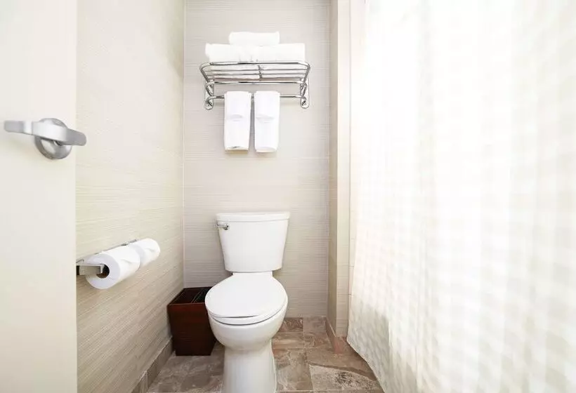 Doubletree Suites By Hilton Hotel Cincinnati   Blue Ash