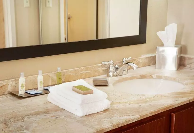 Doubletree Suites By Hilton Hotel Cincinnati   Blue Ash