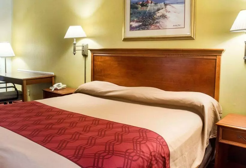 酒店 Econo Lodge Chesapeake Route 13 And I 464