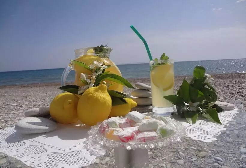 호텔 Fito Aqua Bleu Resort