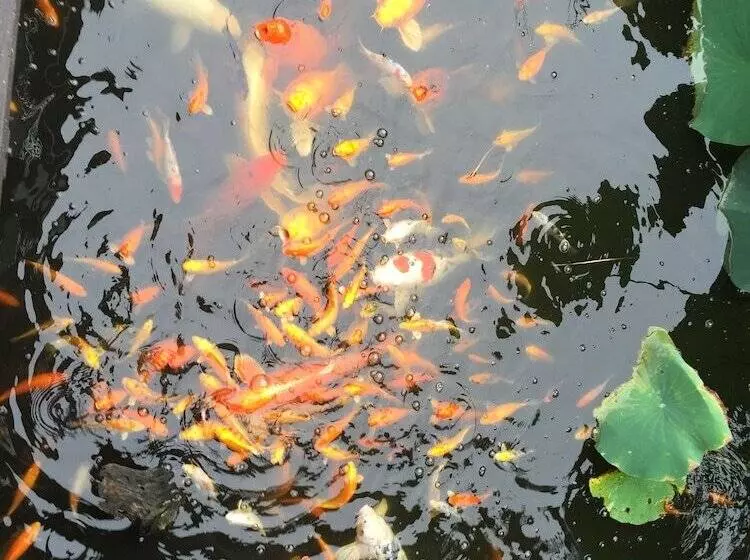 Heritage Hotel Lancaster