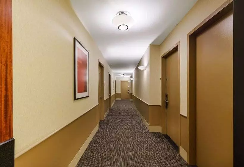 Millennium Hotel Broadway Times Square