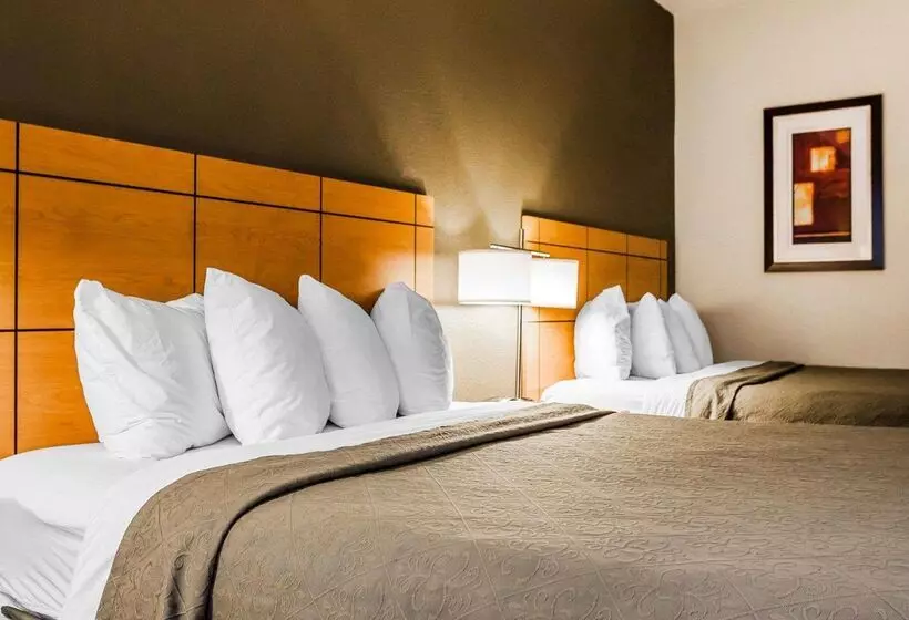 ホテル Quality Inn & Suites Des Moines Airport