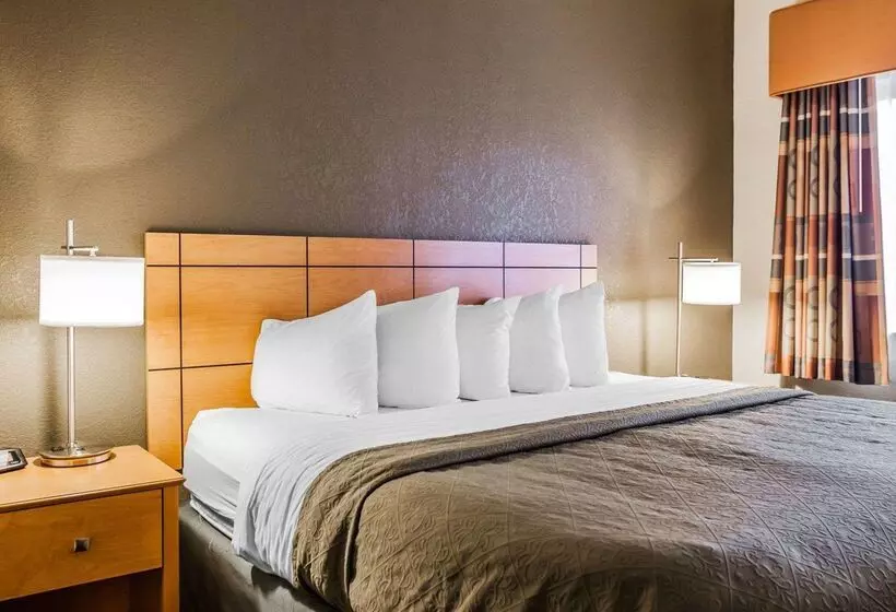 ホテル Quality Inn & Suites Des Moines Airport