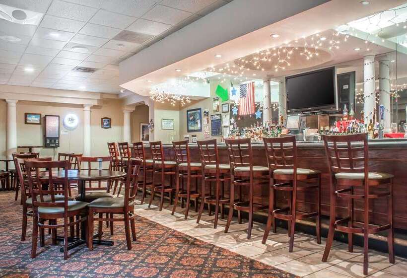 ホテル Quality Inn & Suites Palm Island Indoor Waterpark