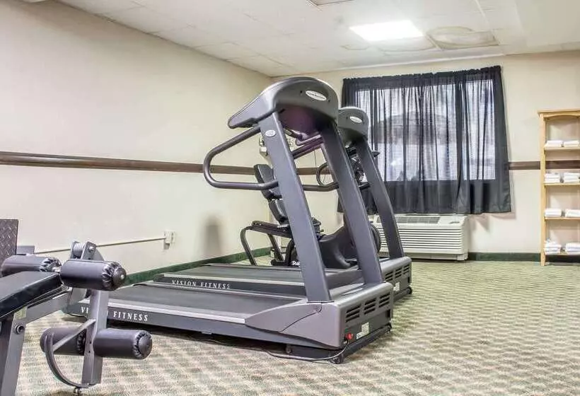 Hotel Quality Inn & Suites Palm Island Indoor Waterpark