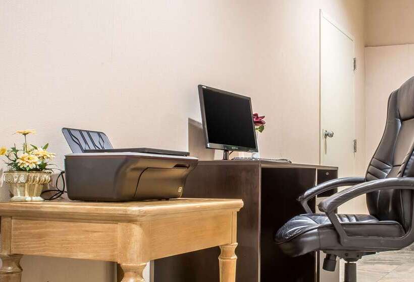 ホテル Quality Inn & Suites Palm Island Indoor Waterpark