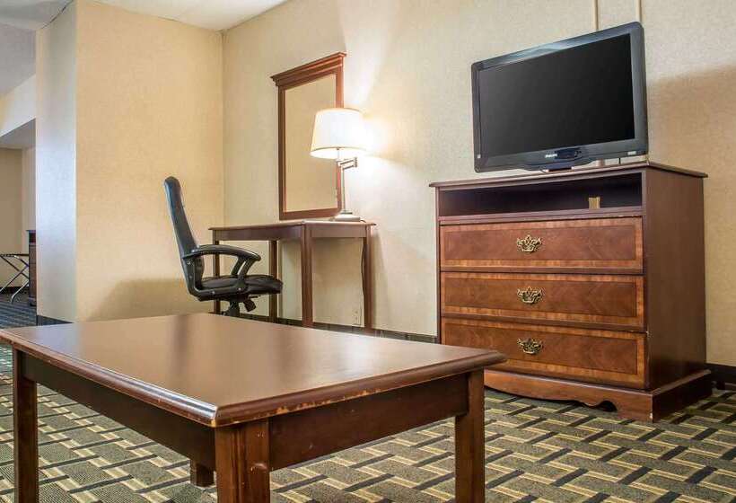 ホテル Quality Inn & Suites Palm Island Indoor Waterpark