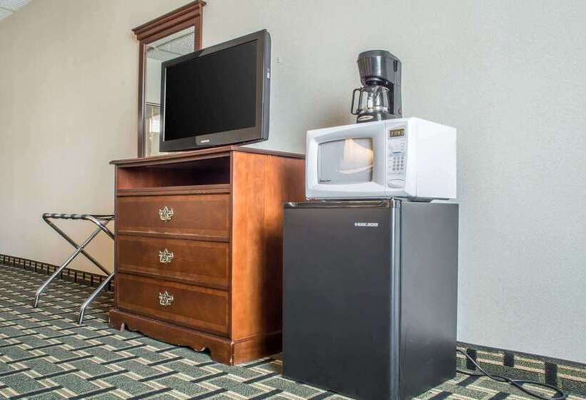 ホテル Quality Inn & Suites Palm Island Indoor Waterpark