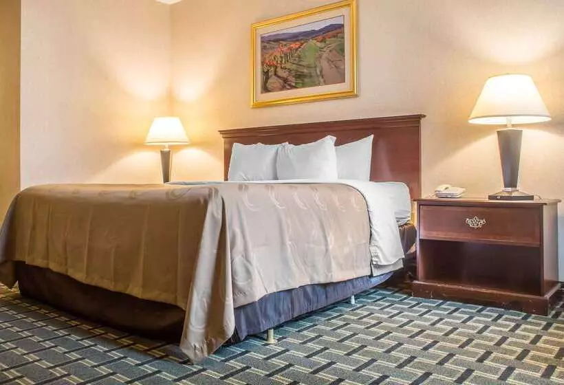 Hotel Quality Inn & Suites Palm Island Indoor Waterpark