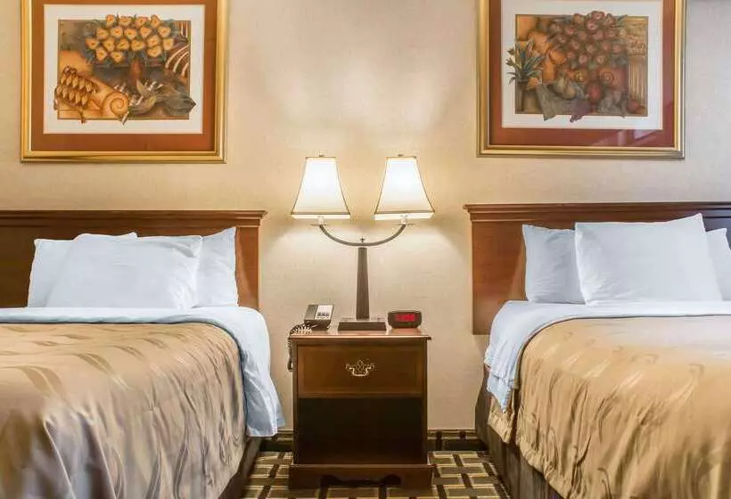 Hotel Quality Inn & Suites Palm Island Indoor Waterpark