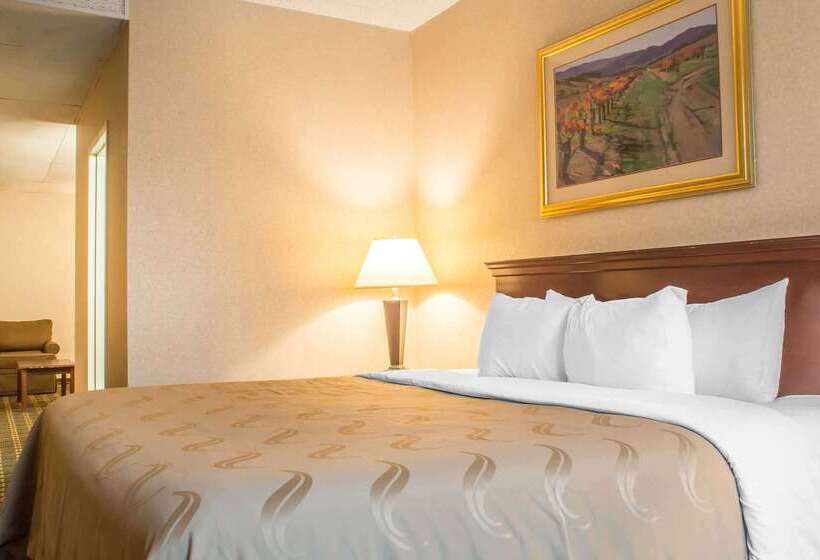 ホテル Quality Inn & Suites Palm Island Indoor Waterpark