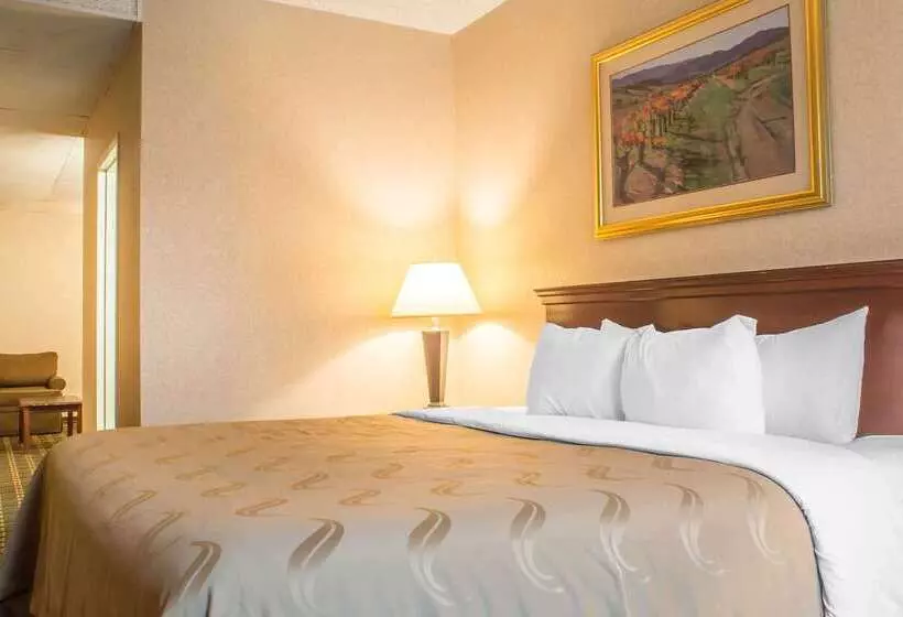 Hotel Quality Inn & Suites Palm Island Indoor Waterpark