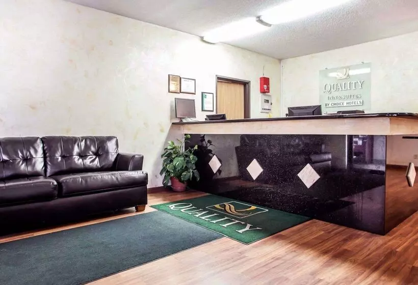 酒店 Quality Inn & Suites