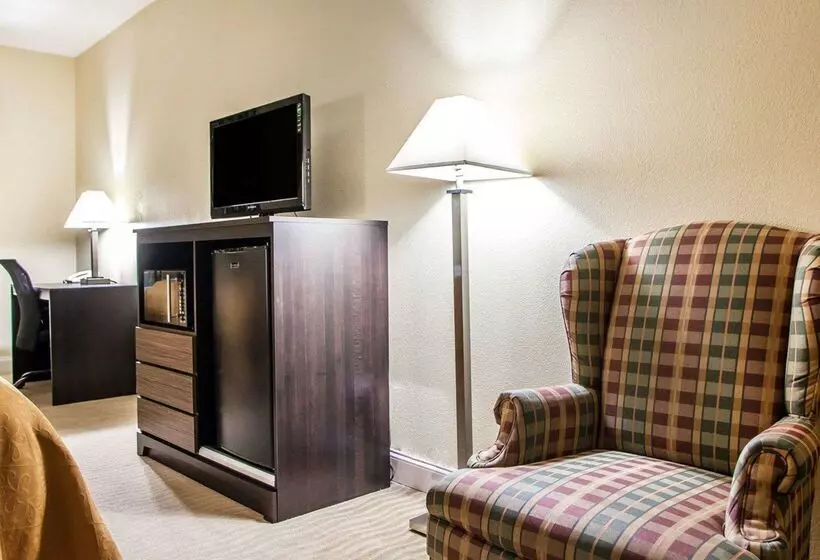 酒店 Quality Inn & Suites