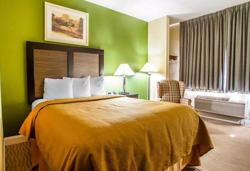 酒店 Quality Inn & Suites
