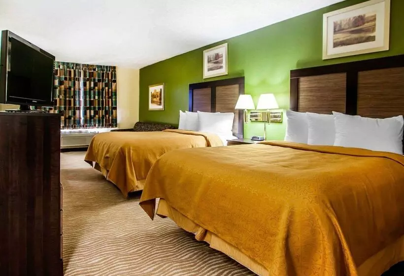 酒店 Quality Inn & Suites