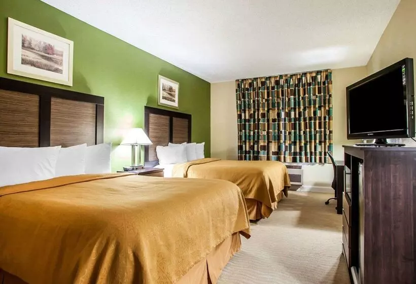 酒店 Quality Inn & Suites