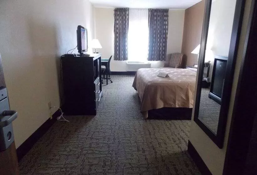 酒店 Quality Inn & Suites