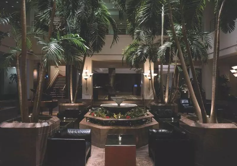 Отель The Clyde