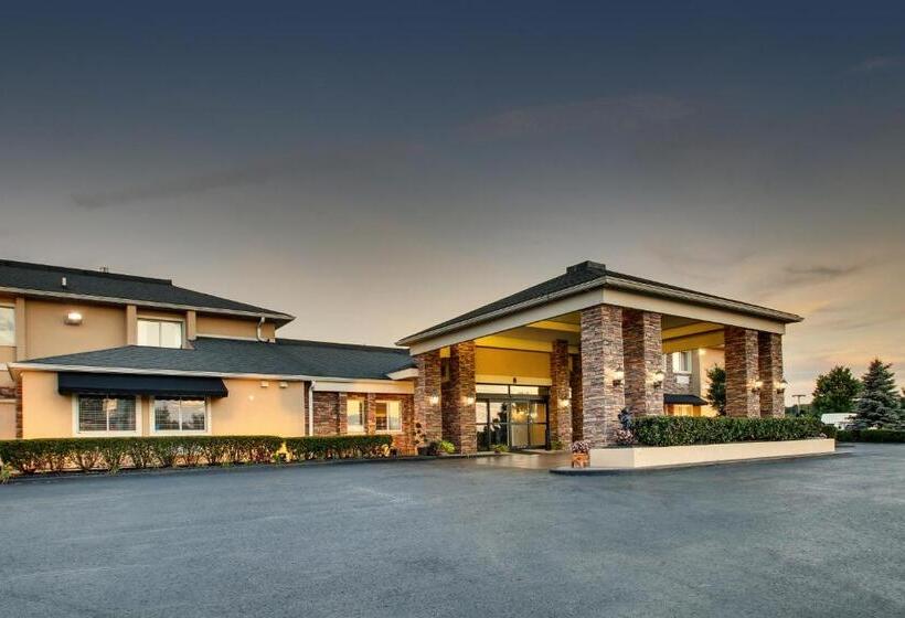 Szálloda Wingfield Inn & Suites