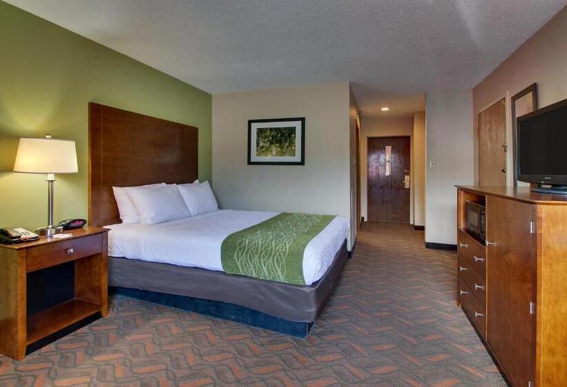 Szálloda Wingfield Inn & Suites