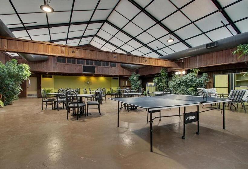 Szálloda Wingfield Inn & Suites