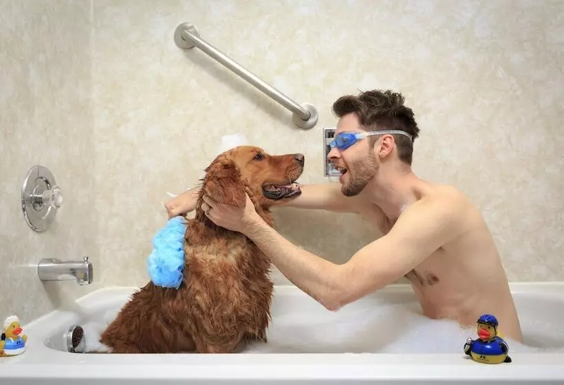 호텔 Accent Inns Kelowna