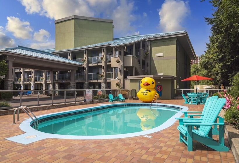 ホテル Accent Inns Kelowna