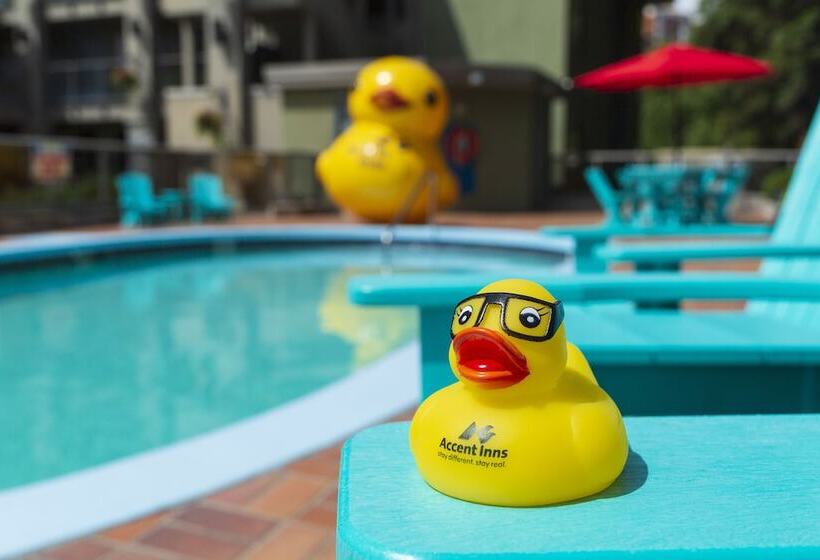 ホテル Accent Inns Kelowna