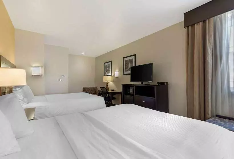 酒店 Best Western Pioneer