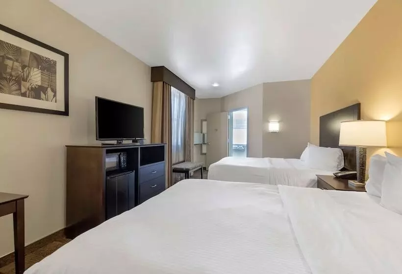 酒店 Best Western Pioneer