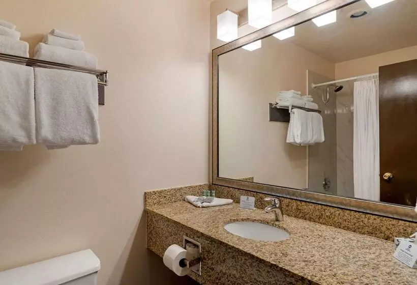 Отель Best Western Pony Soldier