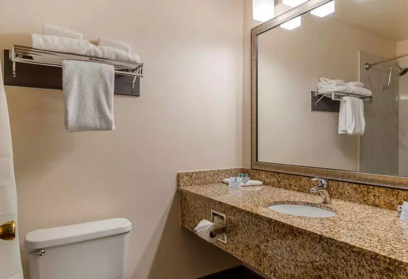 Отель Best Western Pony Soldier