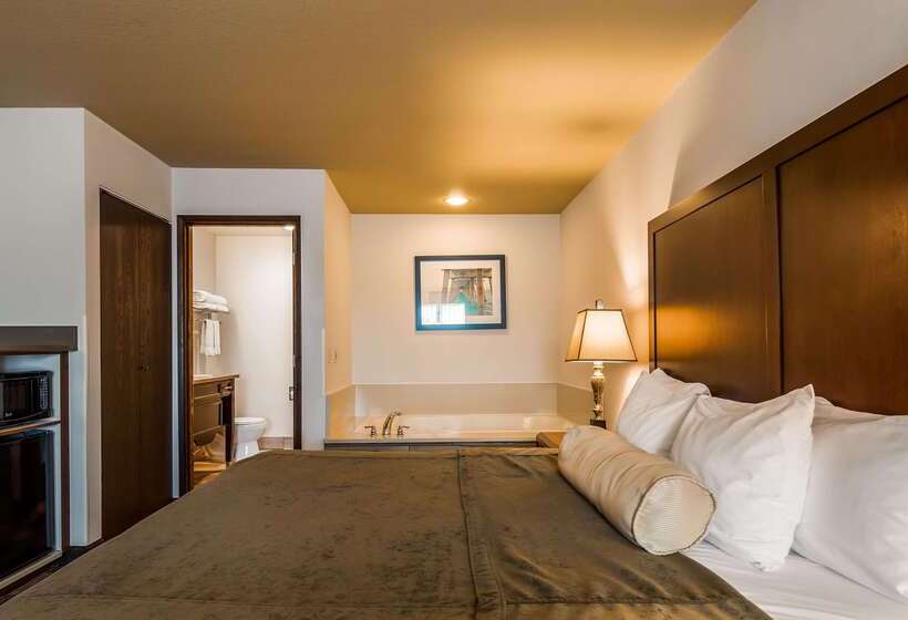 Отель Best Western Salbasgeon Inn & Suites