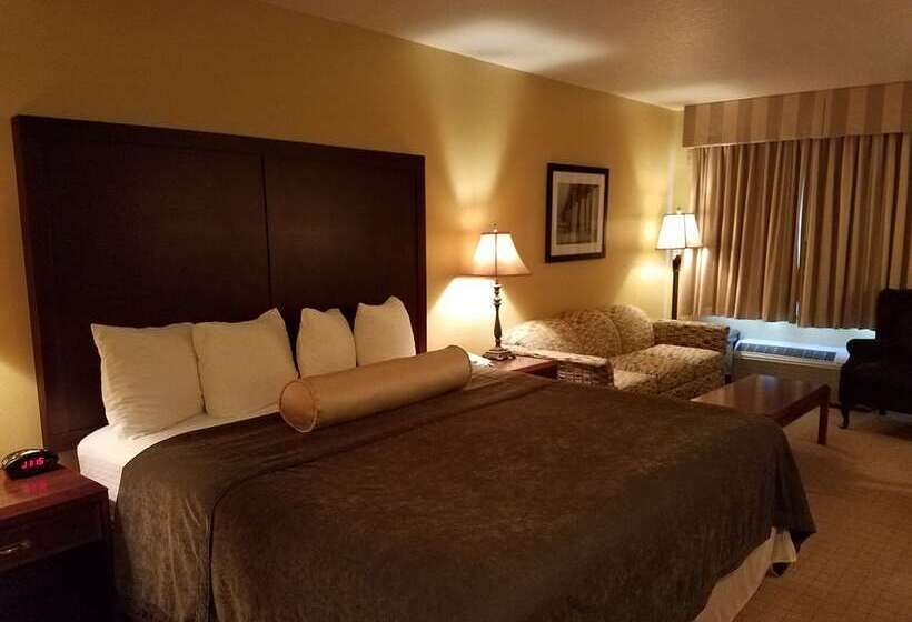 Отель Best Western Salbasgeon Inn & Suites