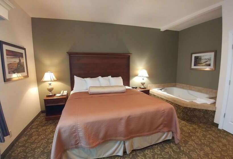 Отель Best Western Salbasgeon Inn & Suites