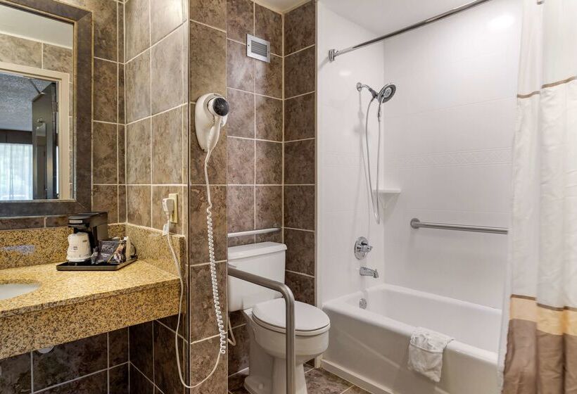 Отель Best Western Smoky Mountain Inn