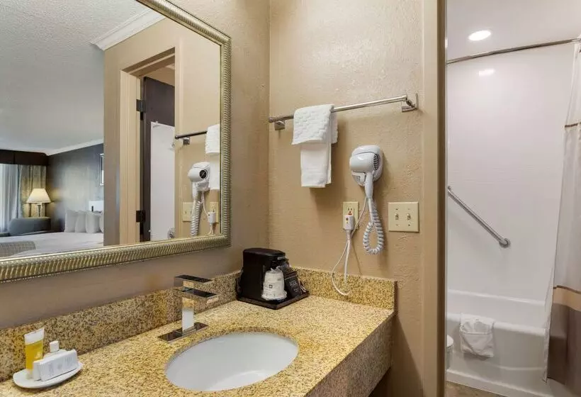 ホテル Best Western Smoky Mountain Inn