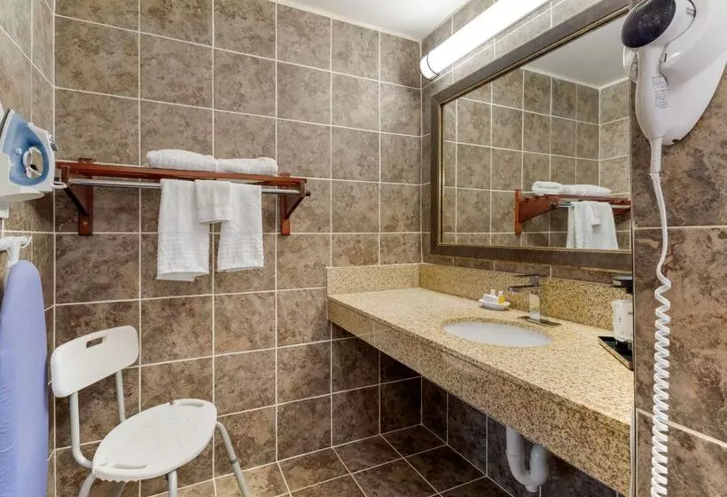 ホテル Best Western Smoky Mountain Inn