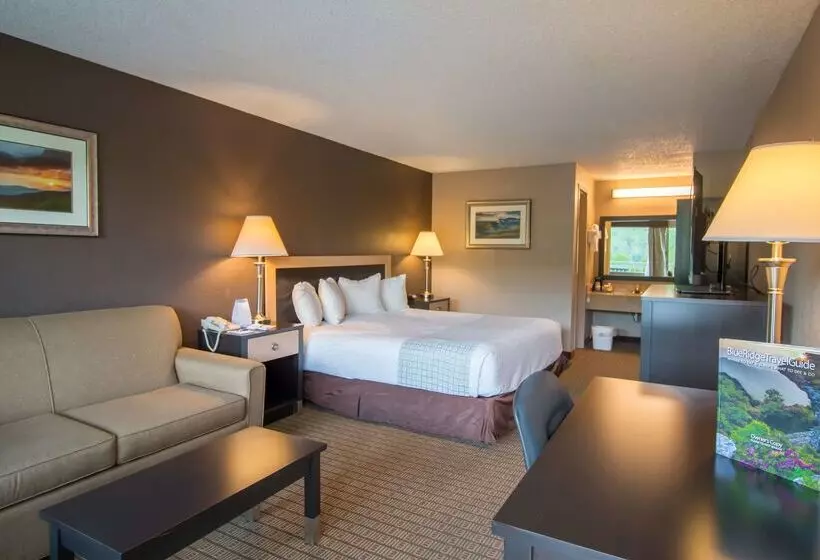 ホテル Best Western Smoky Mountain Inn