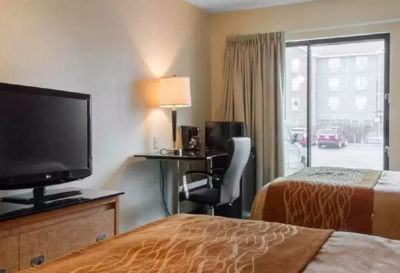 酒店 Comfort Inn Airport