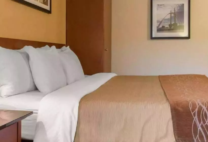 酒店 Comfort Inn Airport